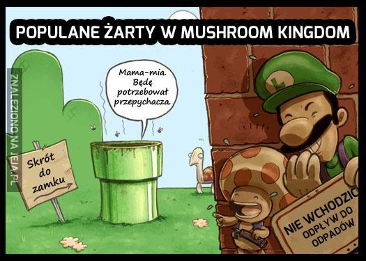 Popularne żarty w Mushroom Kingdom