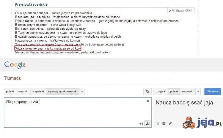 Dzięki, Google tłumacz!