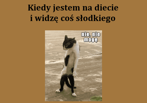 Dylematy podczas diety
