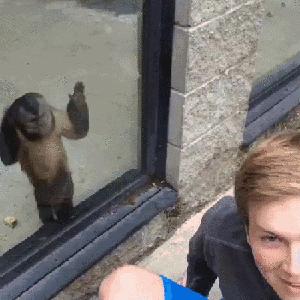 Ej, ty! Nie odwracaj się ode mnie!