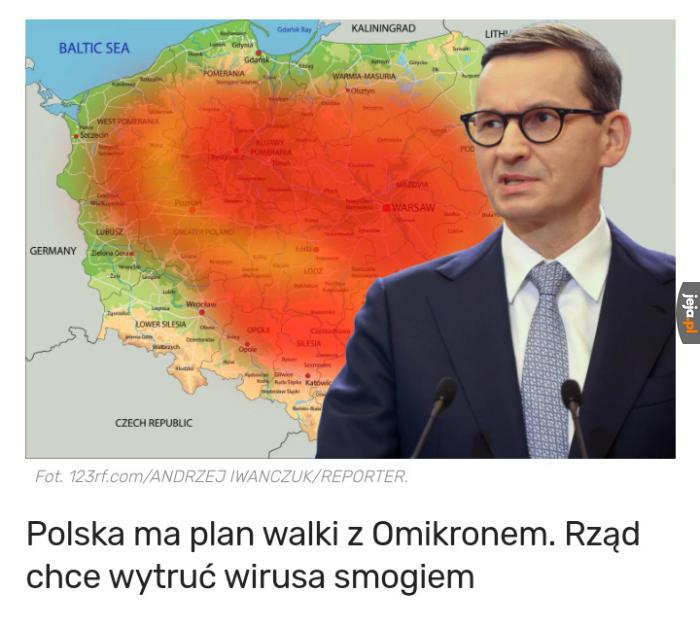Tytuł