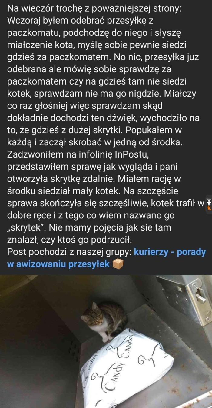 Kitek Skrytek