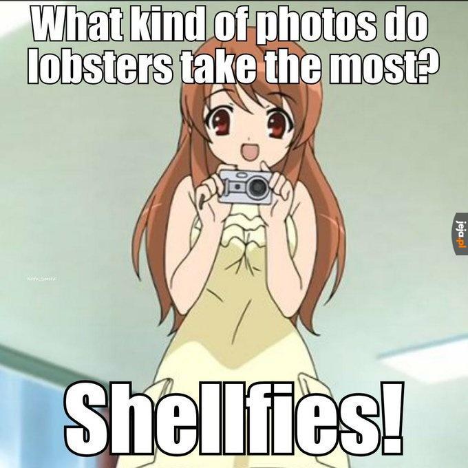 Wholsesome chungus meme