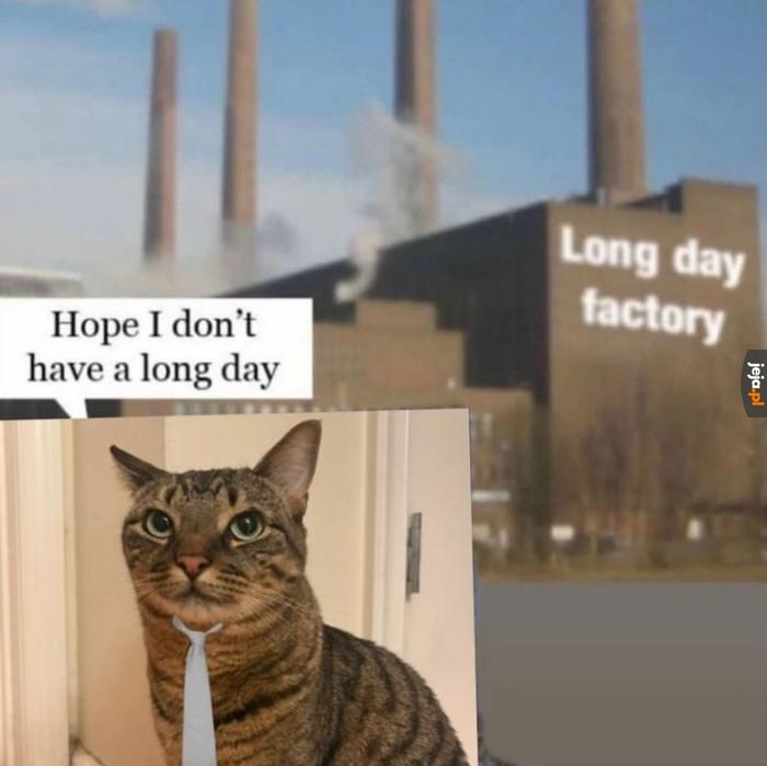 Bruh
