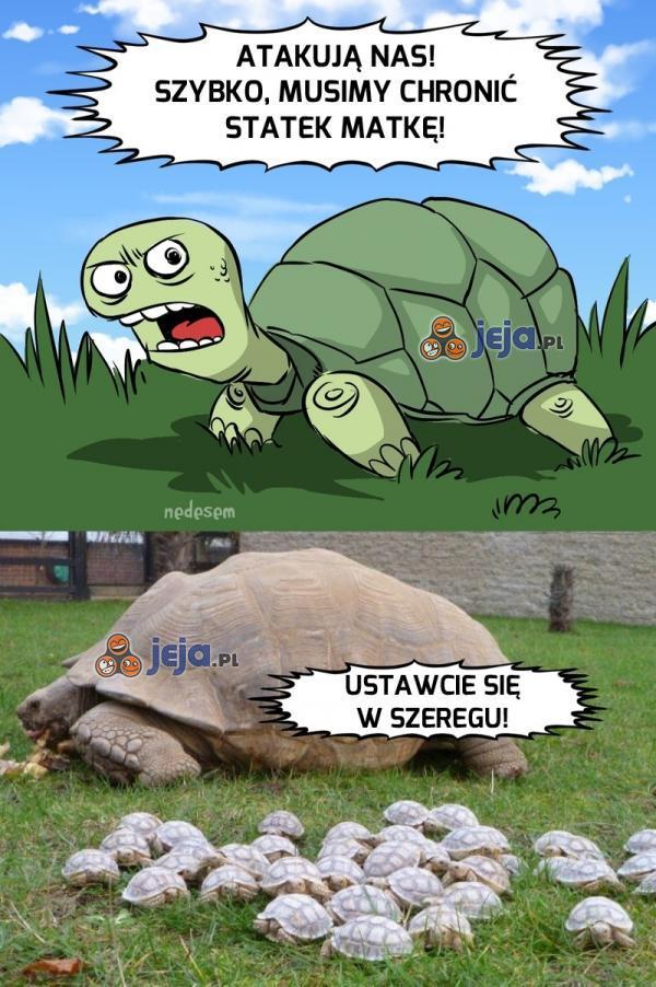 Na szczęście, to były tylko ćwiczenia...