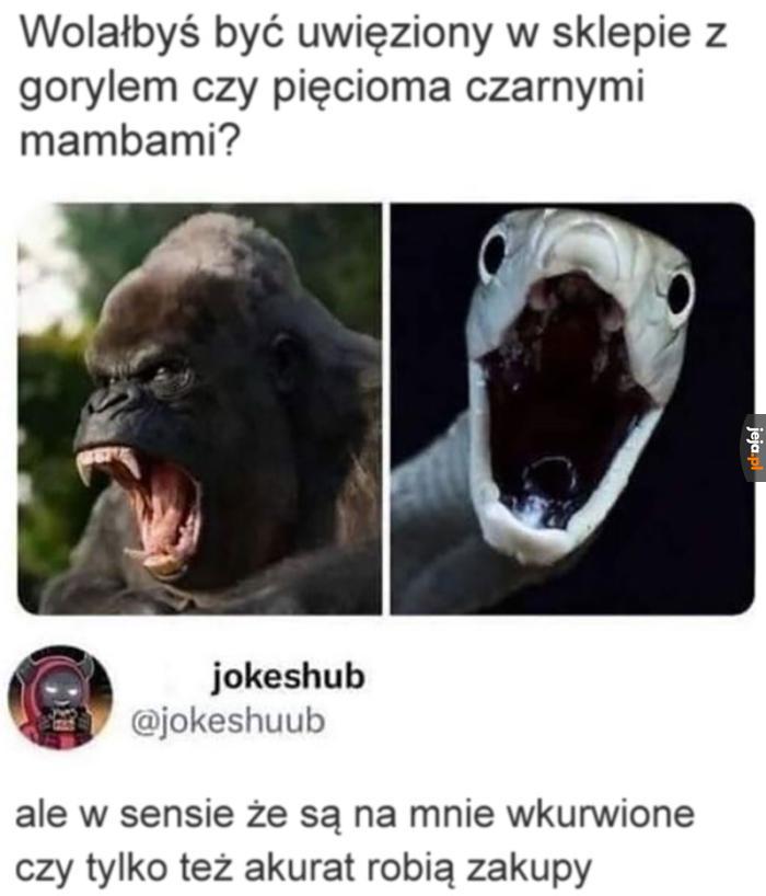Kluczowa kwestia