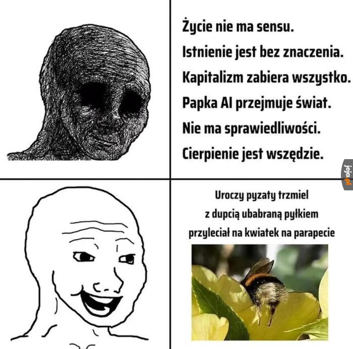 Jednak ma