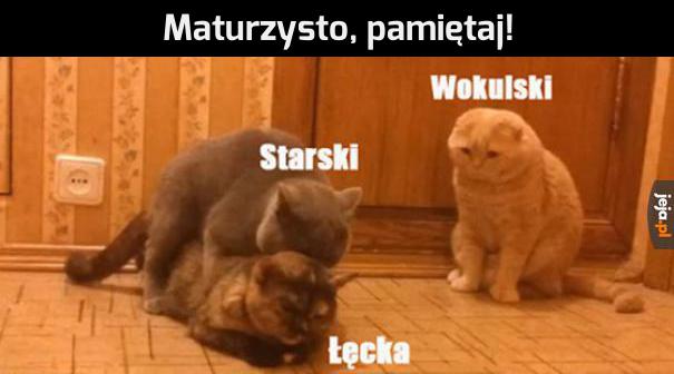 Jak Wam poszło na polskim?