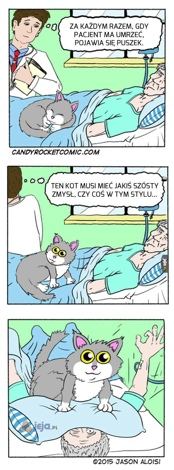 Pan Puszek