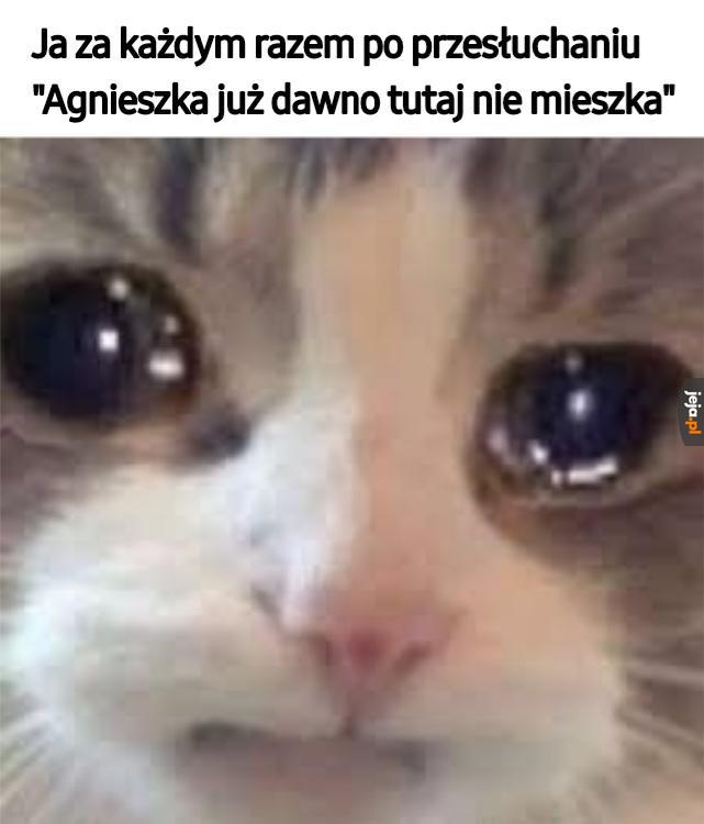 Ten koniec...