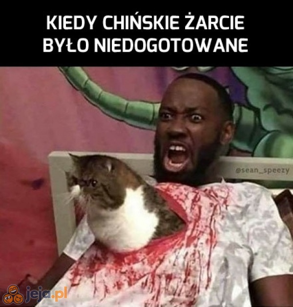 Co się tutaj dzieje?