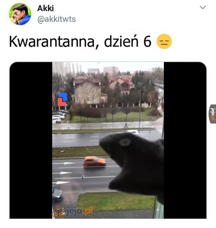 A jak u Was?