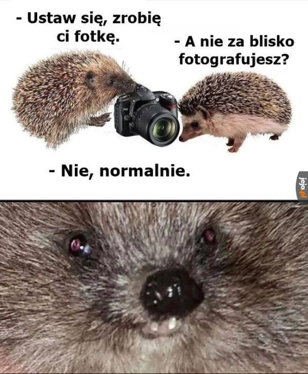 Pięknie wyszło