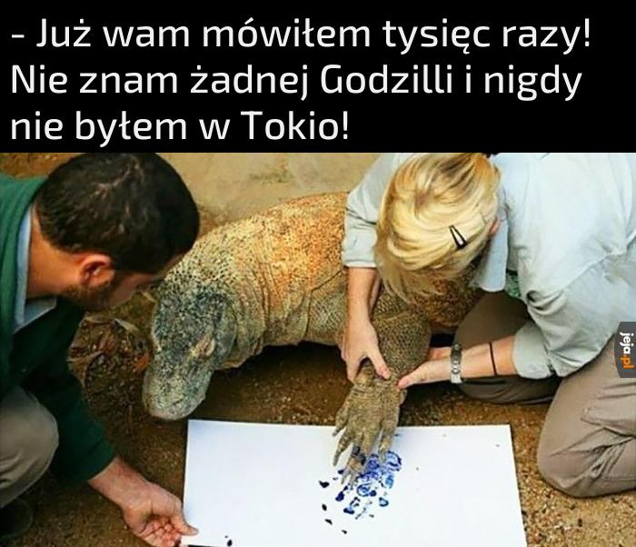 Panie władzo, jestem niewinny!