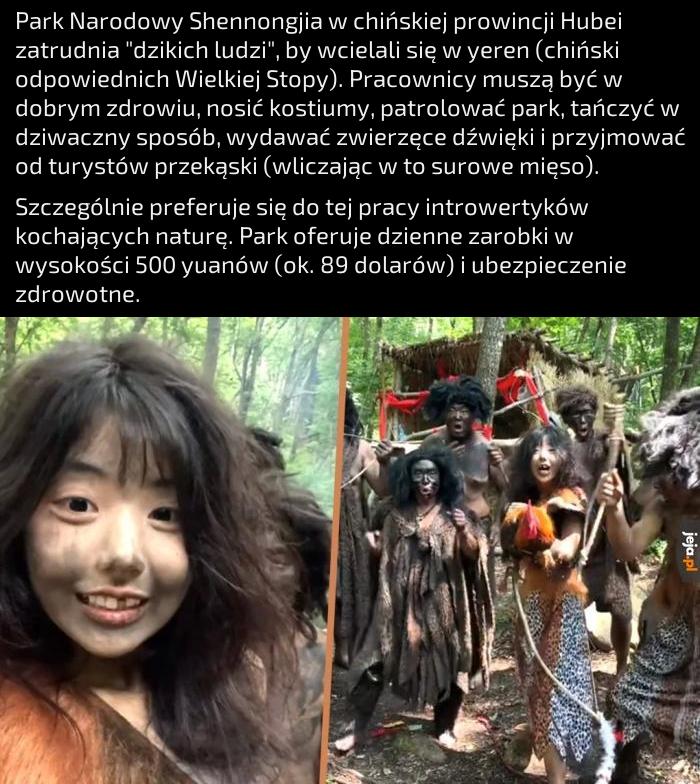 Domagam się podobnej pracy w Polsce jako strzyga