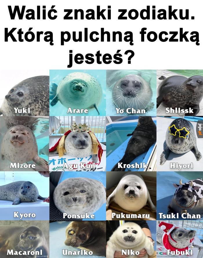 Ja jestem Ponsuke ngl