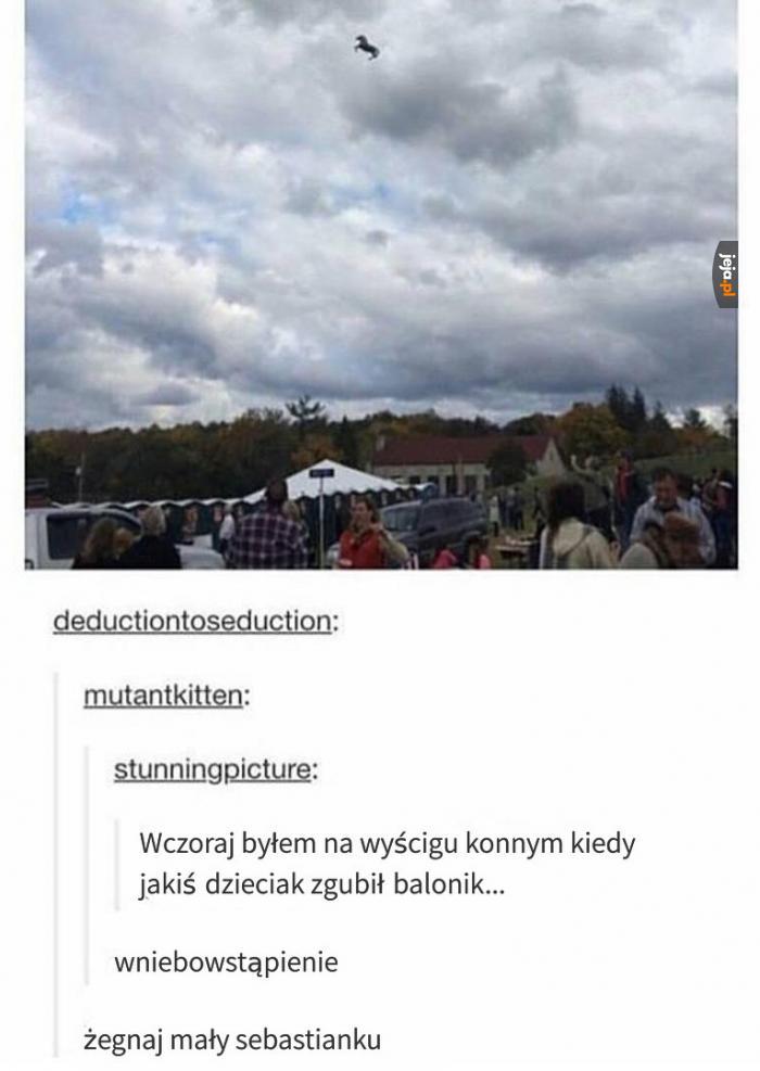 Wniebowstąpienie konika