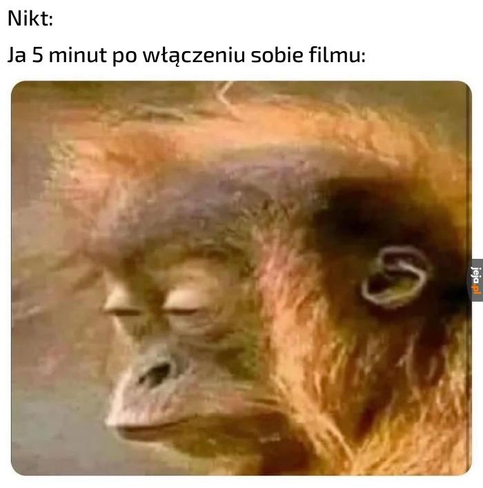 Mam attention span złotej rybki