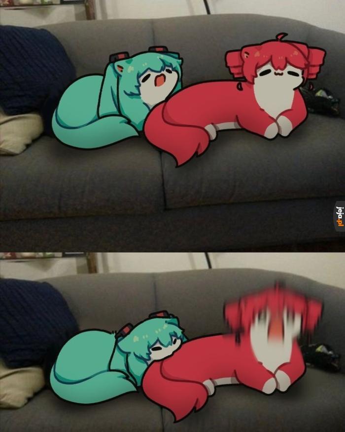 Miau
