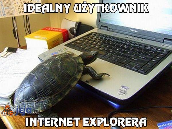 Idealny użytkownik