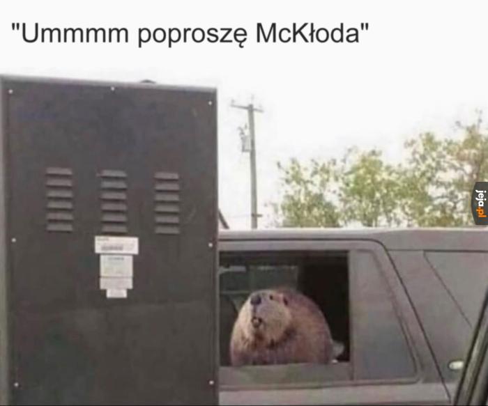 Zachowawczy wybór