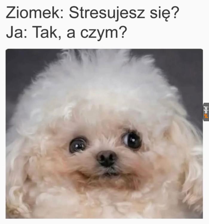 Niemniej tak, od świtu do zmierzchu i całymi nocami