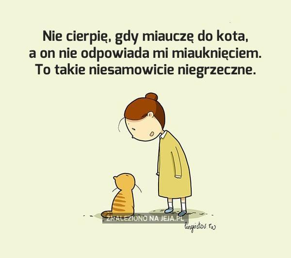Koty są nieeleganckie