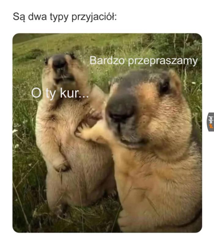 Awanturnik i rozjemca