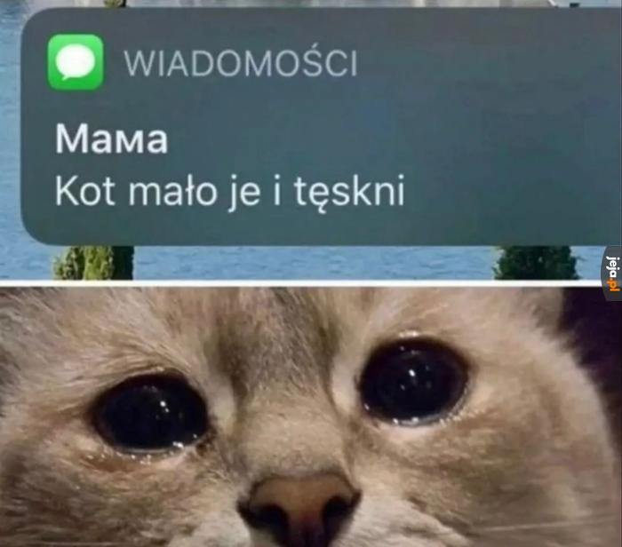 Niedługo wracam Puszku