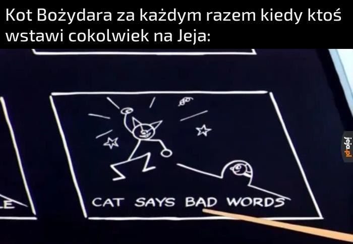 Twardy kocur, jego nie zgryziesz