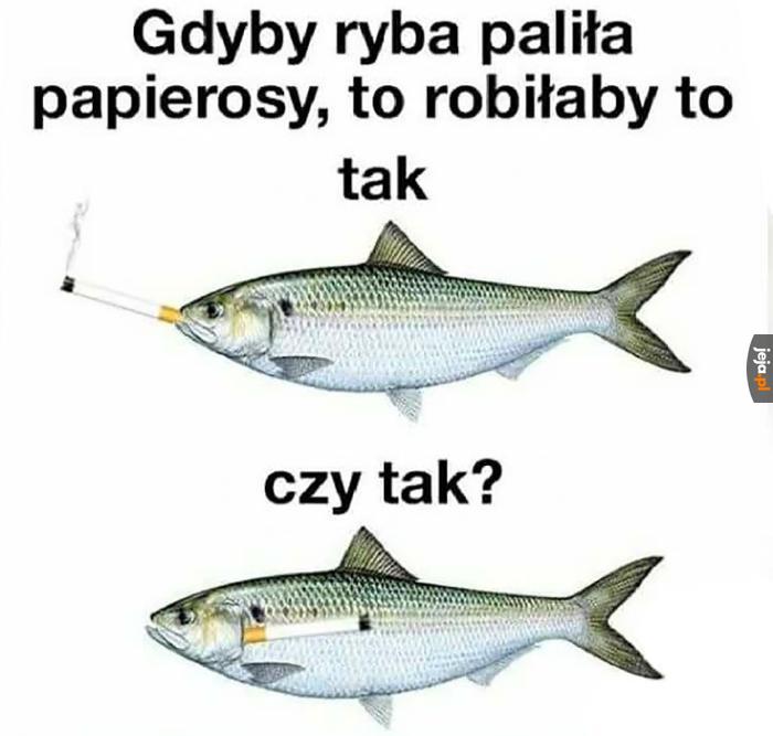 🚬🐟 rybie szlugi