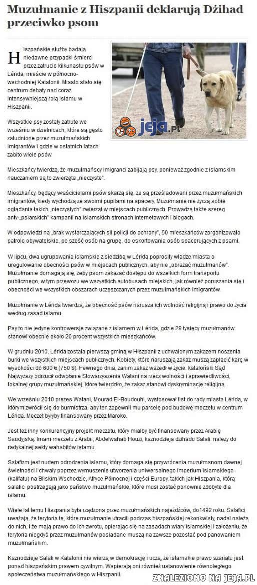 Wara od naszych psów!