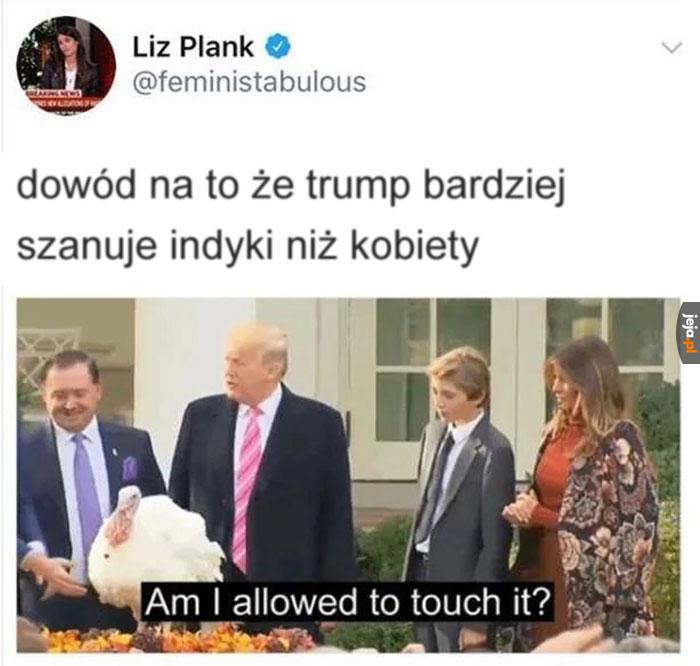 Miejmy nadzieję, że indyk jest pełnoletni