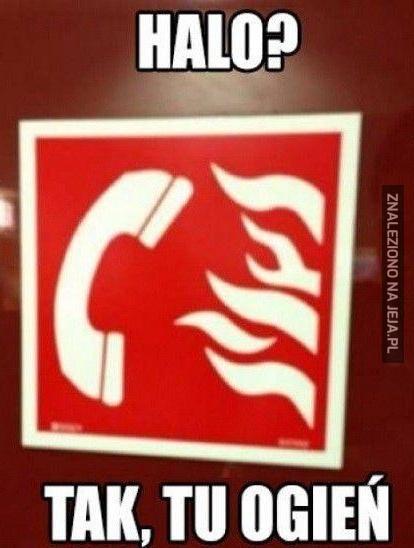 Halo?