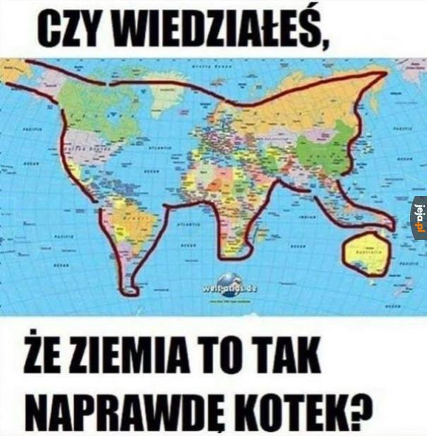 Czy wiedziałeś?