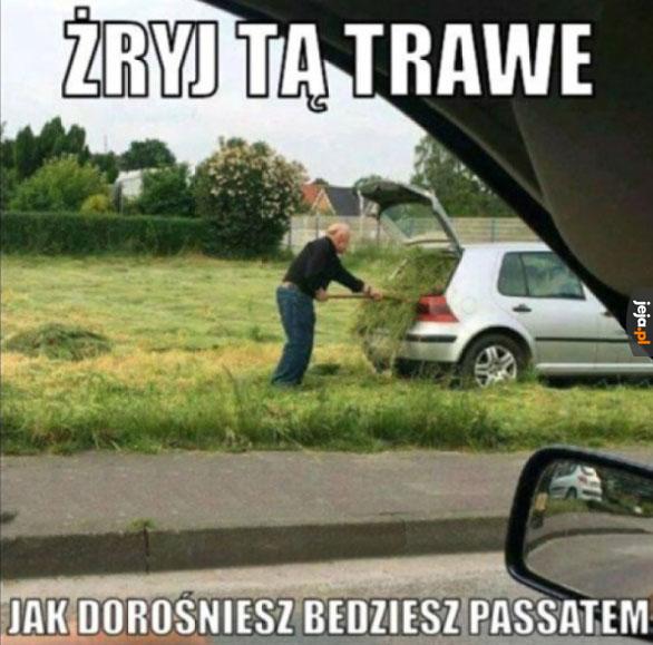 Somsiadowi oko zbieleje!