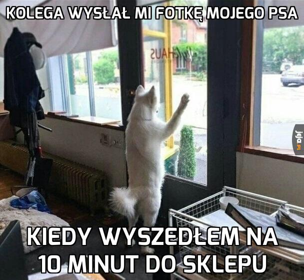 Chyba tęskni