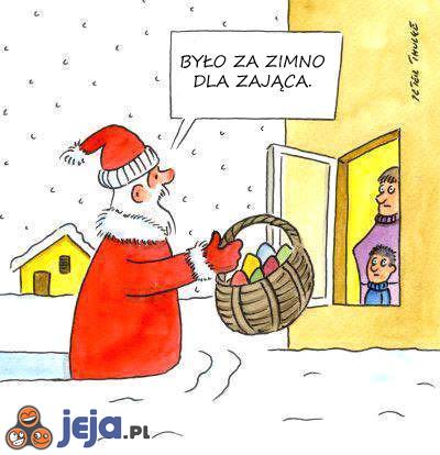 Było za zimno dla zająca