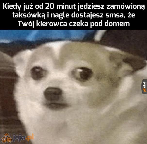 Właśnie tak się dziwiłem, że drzwi nie mają klamek i jedziemy przez las...