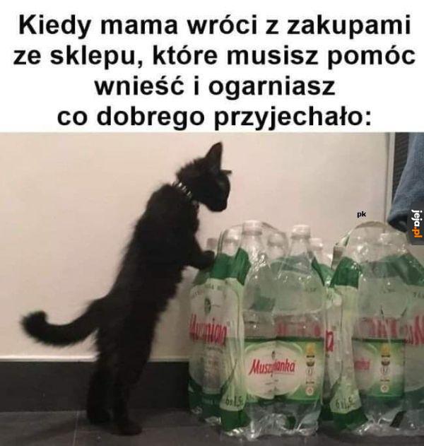 Nie ma chipsów?!
