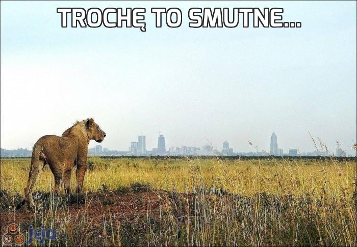 Trochę to smutne...
