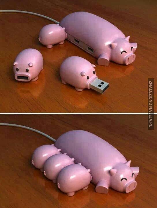 Małe świnki i mamusia w wersji USB