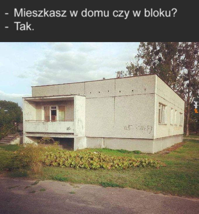 Coś pomiędzy