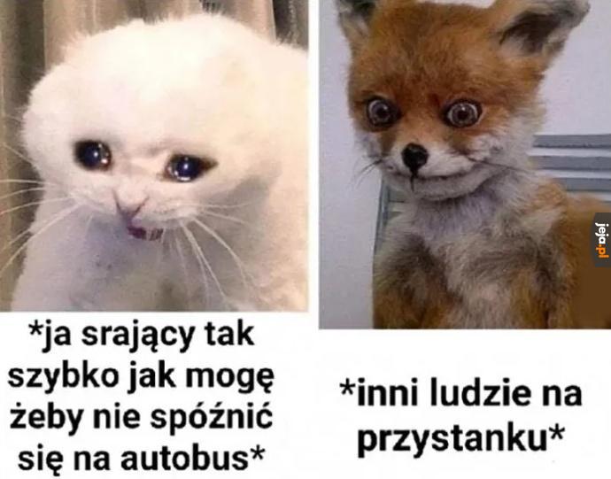 Szybko