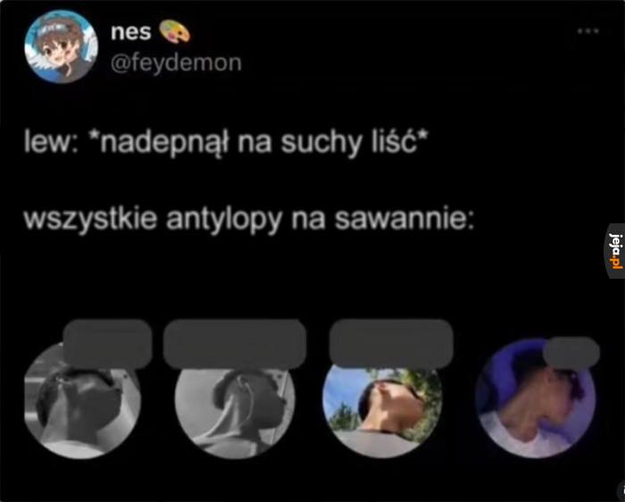 Nadciąga zagrożenie