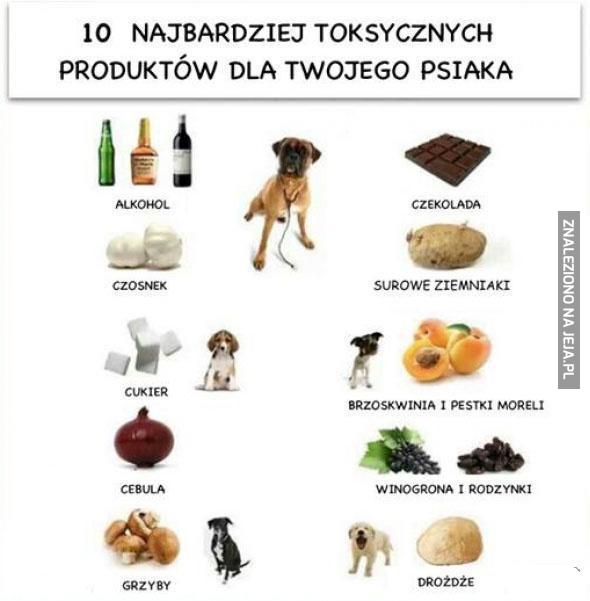 Dziesięć najbardziej toksycznych produktów dla Twojego psiaka