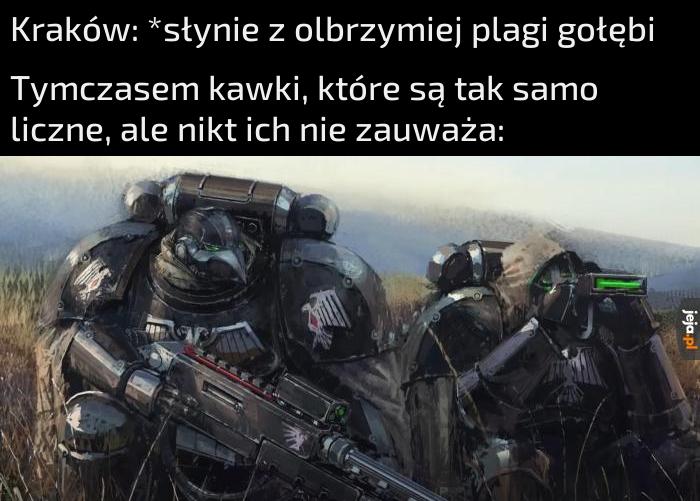 Przeklęte gołębie - Gloria Domino Corvorum!