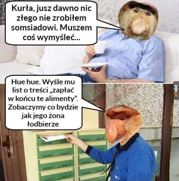 Awanture będzie miał menda jeden