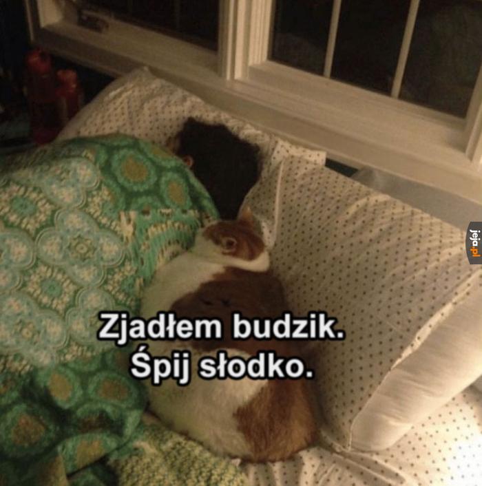Tego mi było trzeba