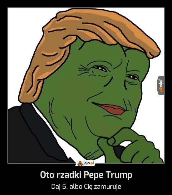 Oto rzadki Pepe Trump